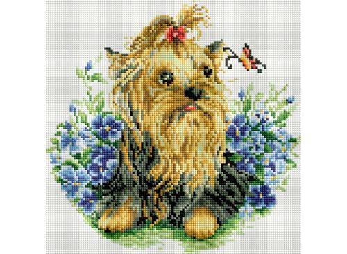 296-ST-S Йоркширский терьер