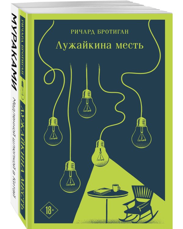Набор учитель и его ученик (из 2 книг: Мураками "Медленной шлюпкой в Китай" и Бротиган "Лужайкина месть")