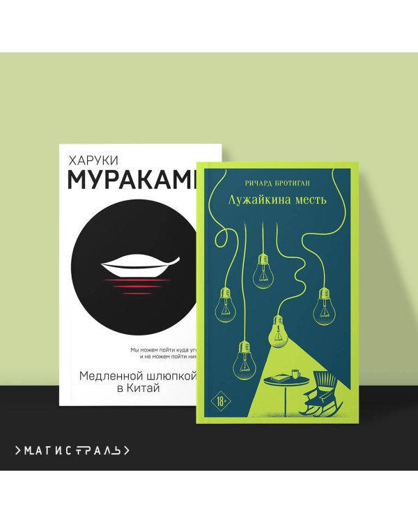 Набор учитель и его ученик (из 2 книг: Мураками "Медленной шлюпкой в Китай" и Бротиган "Лужайкина месть")