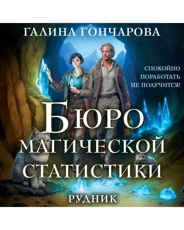 Бюро магической статистики. Рудник