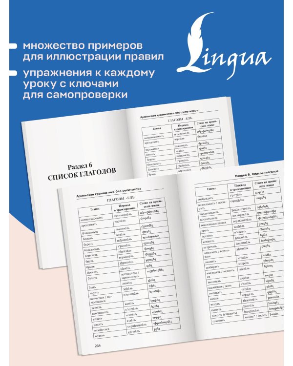 Армянская грамматика без репетитора. Все сложности в простых схемах