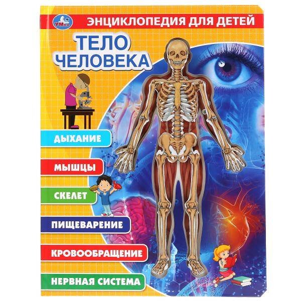 Обложка книги «"Умка". Тело человека. Энциклопедия (карт. книга со вставками из прозр. пленки) 230х300мм в кор.20шт», ISBN 9785506025238