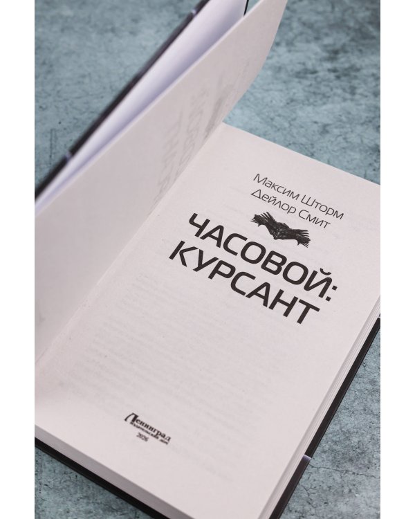 Часовой. Курсант