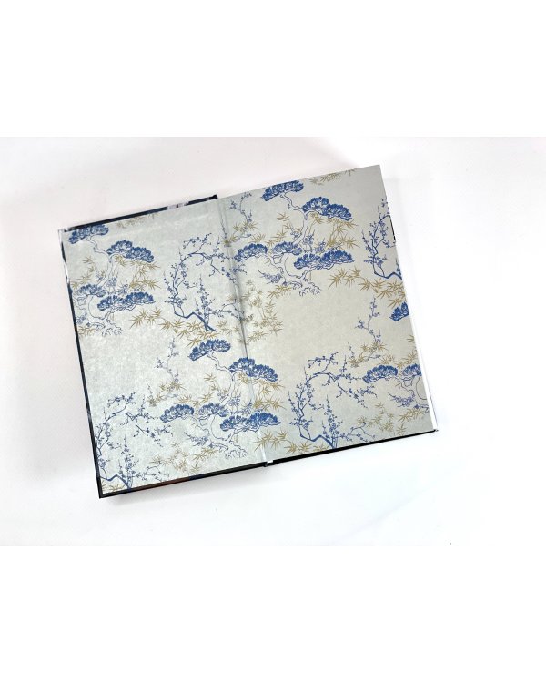 Комплект из двух книг (Двойник Запада и Пятый дракон)(ИК)