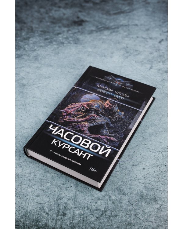 Часовой. Курсант