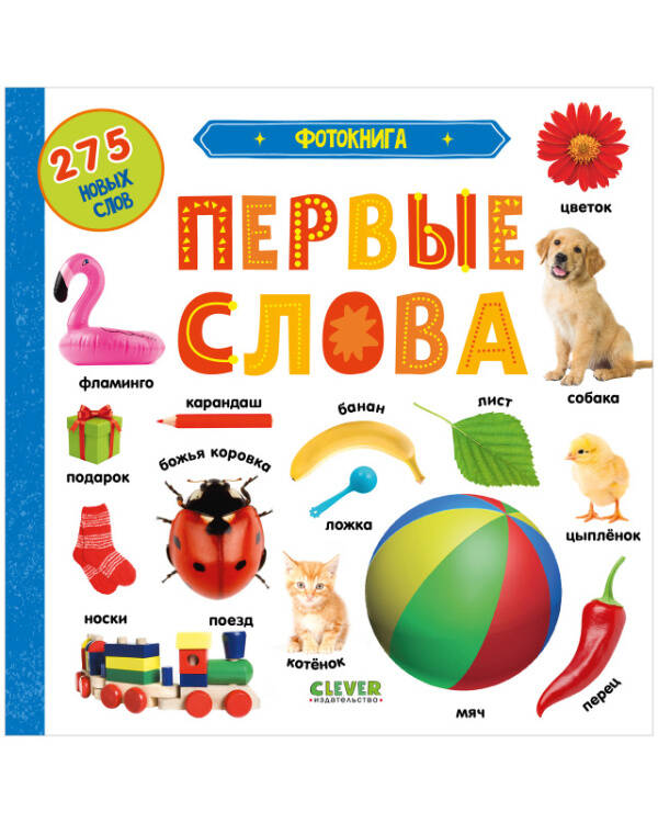 Первые знания. Фотокниги Первые знания. Фотокниги. Фотокнига. Первые слова