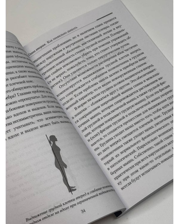 Практическая кинезиология. Упражнения для мышц-халтурщиц