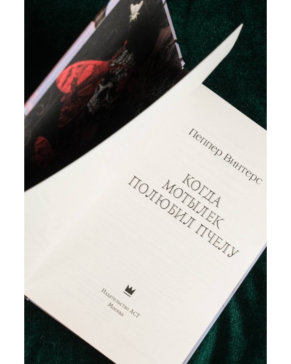 Когда мотылек полюбил пчелу