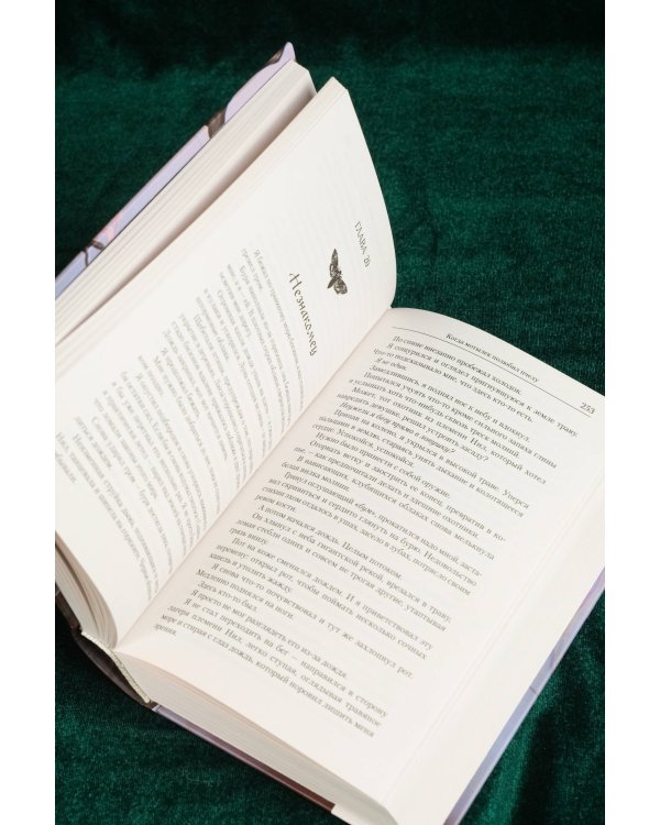 Когда мотылек полюбил пчелу