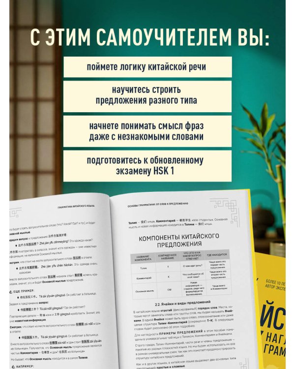 Китайский язык. Наглядная грамматика. HSK 1