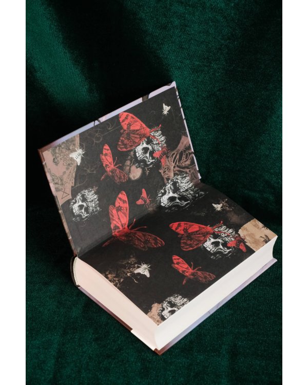 Когда мотылек полюбил пчелу