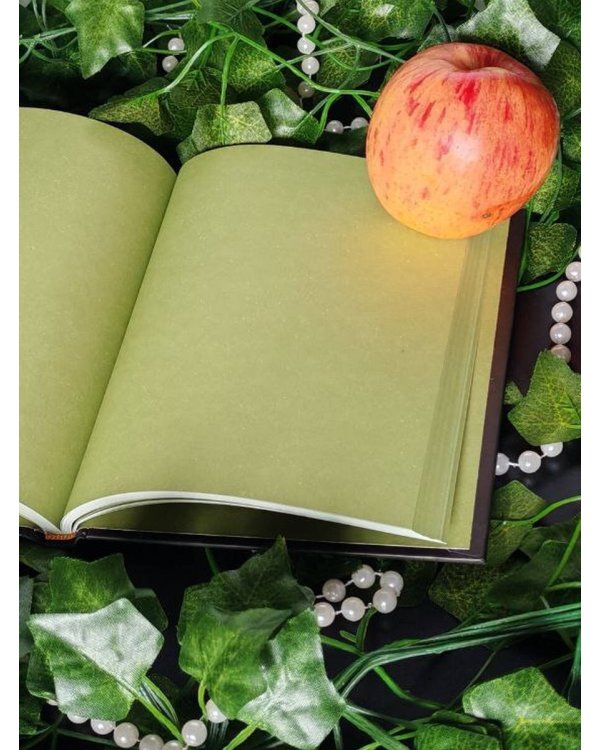 Блокнот Жили-были. Палеха «Жар-птица» (формат А5, 144 стр., блинтовое тиснение, тонированный блок)