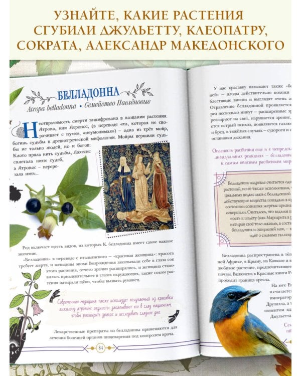 Опасные растения. От ядовитых до аллергенных