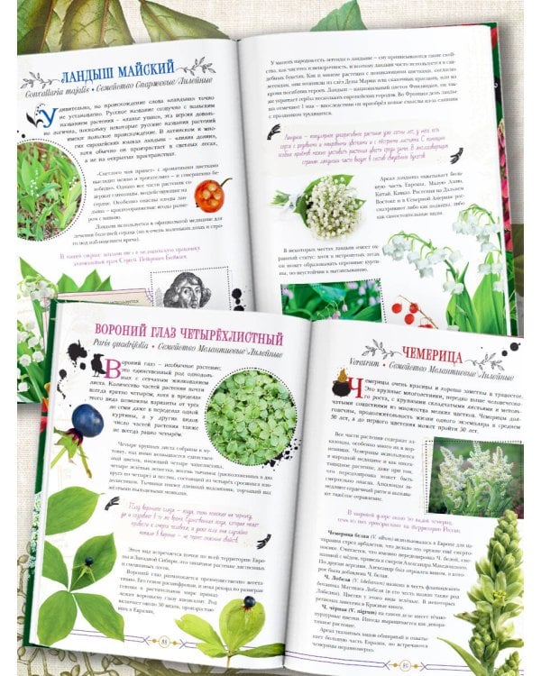 Опасные растения. От ядовитых до аллергенных