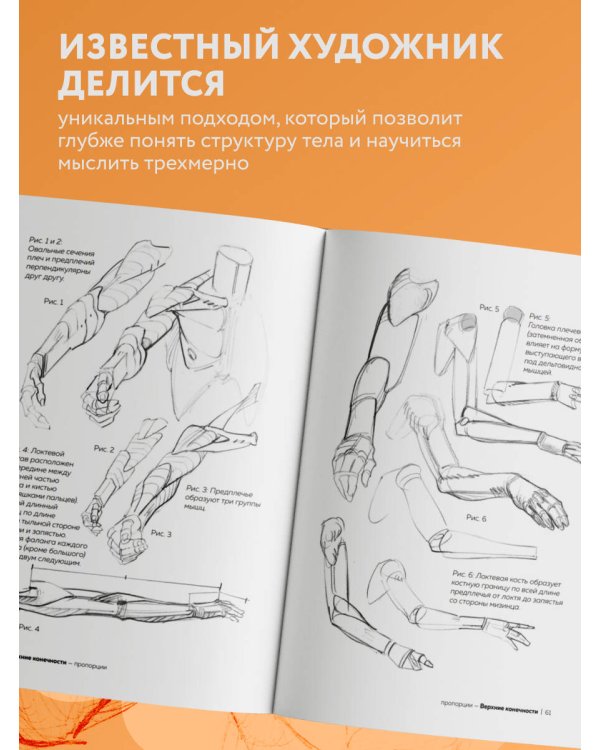 МОРФО. Рисунок человека