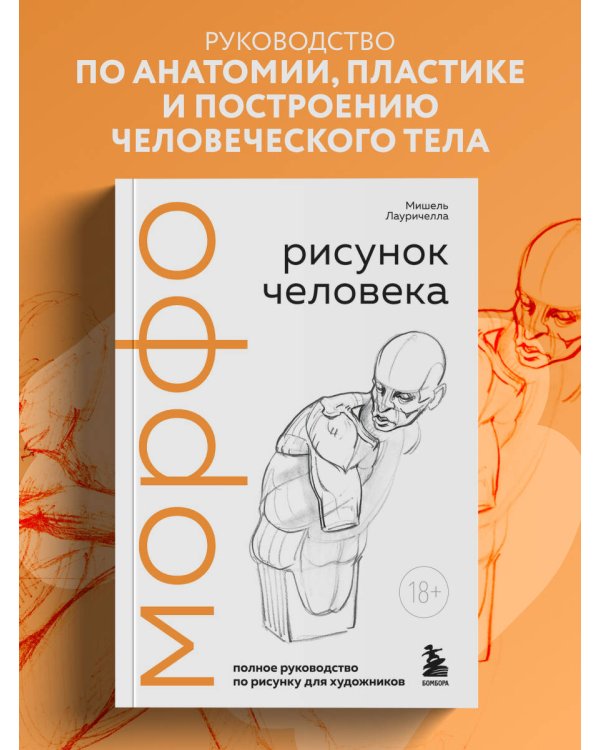 МОРФО. Рисунок человека