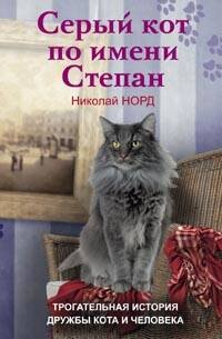 Серый кот по имени Степан. Трогательная история дружбы кота и человека.