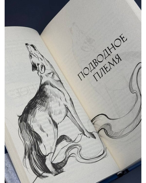 Легенды квилетов