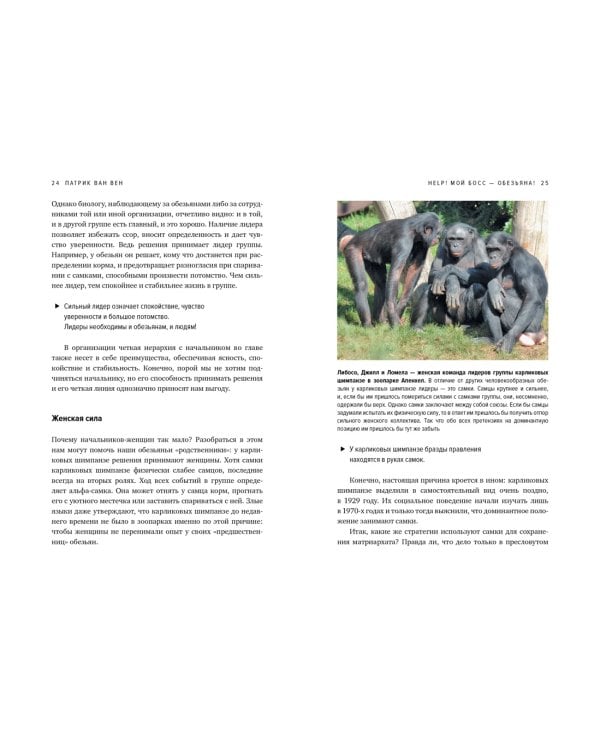 Help! Мой босс – обезьяна! Социальное поведение на работе с точки зрения биологии