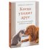 Когда уходит друг. Как пережить потерю любимого питомца