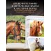 Невероятные лошади. Все о самых грациозных и сильных существах на планете