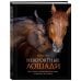 Подарочные издания. Энциклопедии животных Невероятные лошади. Все о самых грациозных и сильных существах на планете