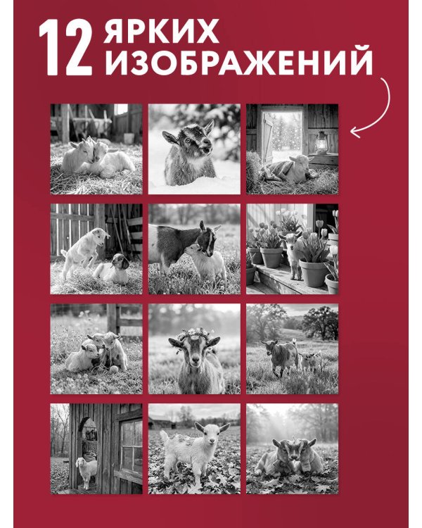 Дополнительное изображение книги «Уютные хранители счастья. Год огненной козы/овцы. Календарь настенный на 2027 год (300х300 мм)»