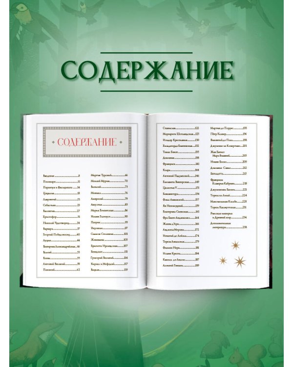 Дополнительное изображение книги «Жизнь святых»