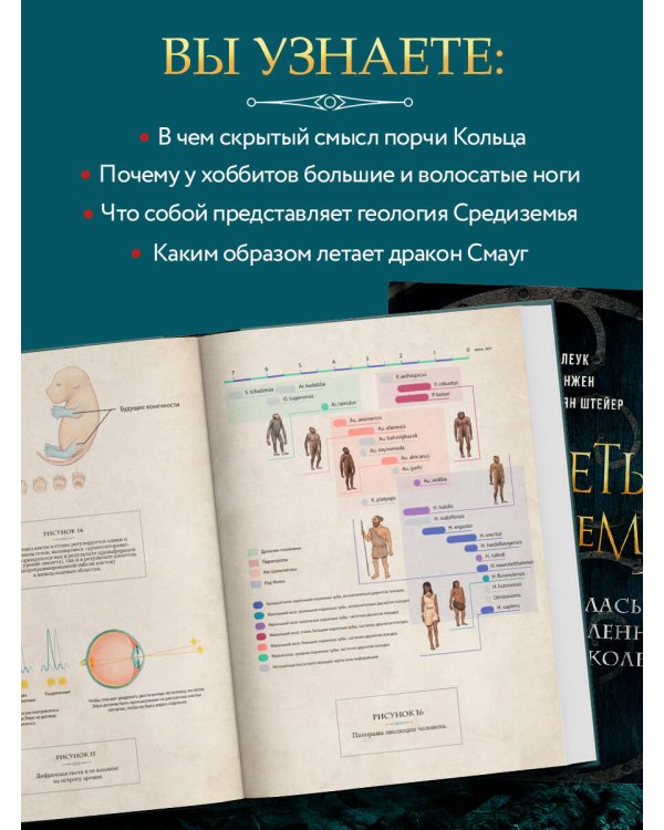 Секреты Средиземья. Как появилась культовая вселенная Властелина колец