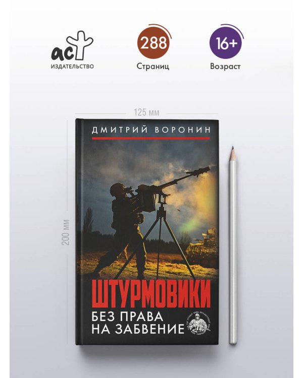 Штурмовики. Без права на забвение