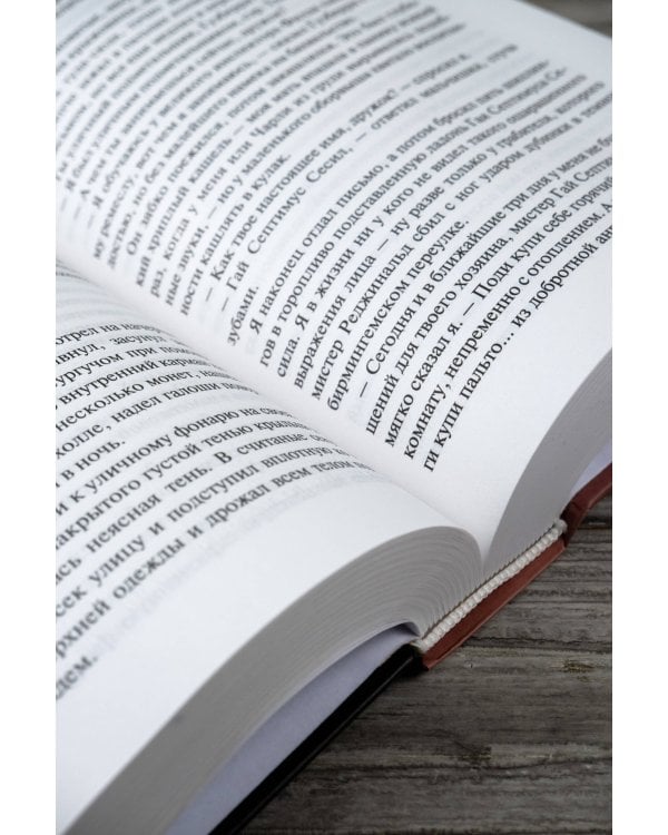 Друд, или Человек в черном