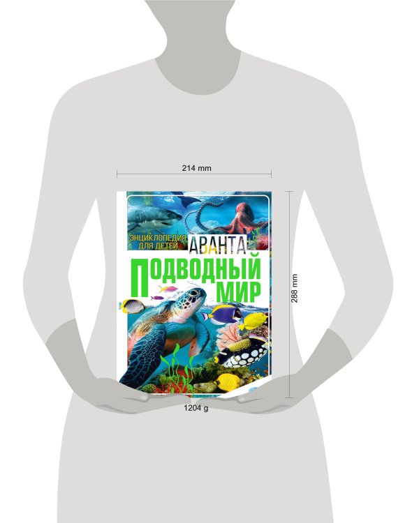 Подводный мир