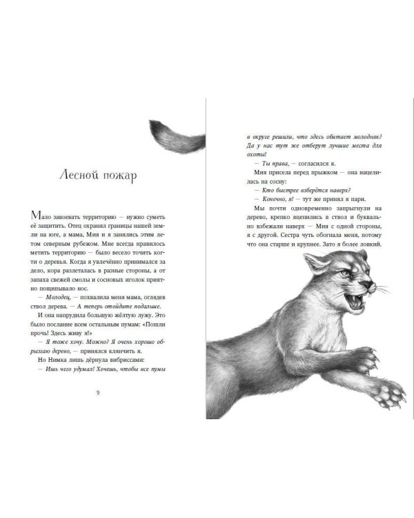 День огня (#6)