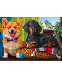 Алм.моз.квадр.30x40(класс.) (33 цв) Послушные питомцы. ( Арт. FW-021)