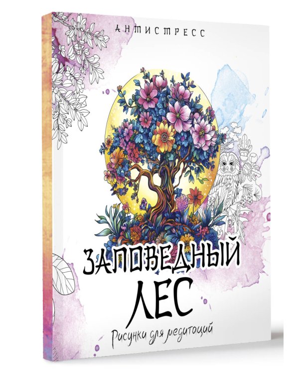 Заповедный лес. Рисунки для медитаций