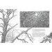 Дополнительное изображение книги «The Hobbit Sketchbook (Alan Lee) Хоббит скетчбук (Алан Ли) /Книги на английском языке»