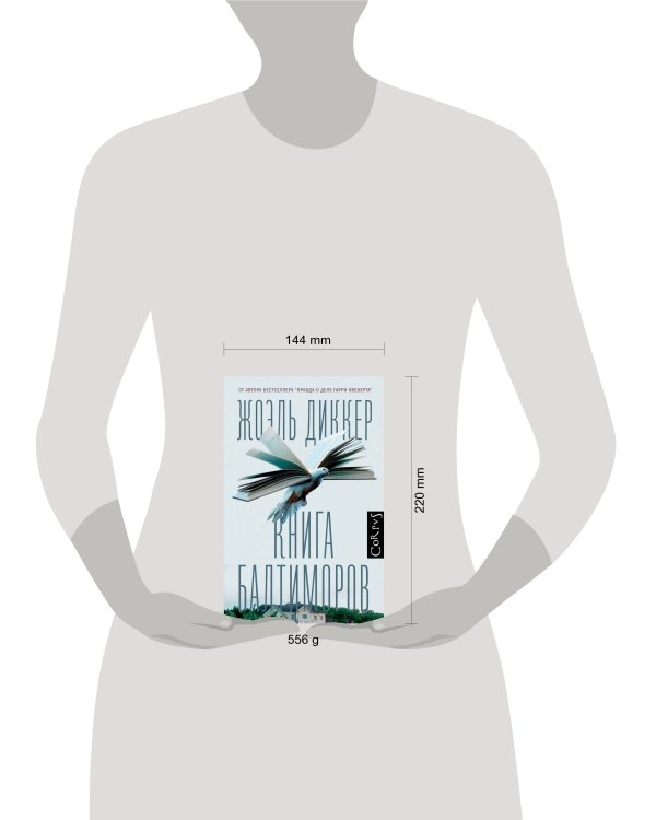 Книга Балтиморов