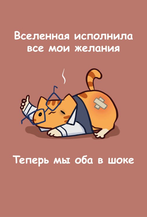 Авторский блокнот. Мурчальня. Вселенная исполнила все мои желания. Теперь мы оба в шоке. А5 64 л.