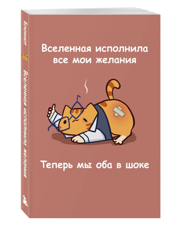 Авторский блокнот. Мурчальня. Вселенная исполнила все мои желания. Теперь мы оба в шоке. А5 64 л.