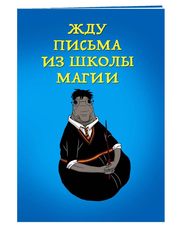 Жду письма из школы магии (блокнот в мягкой обложке линейку)