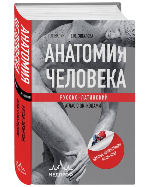 Анатомия человека: Русско-латинский атлас с QR-кодами