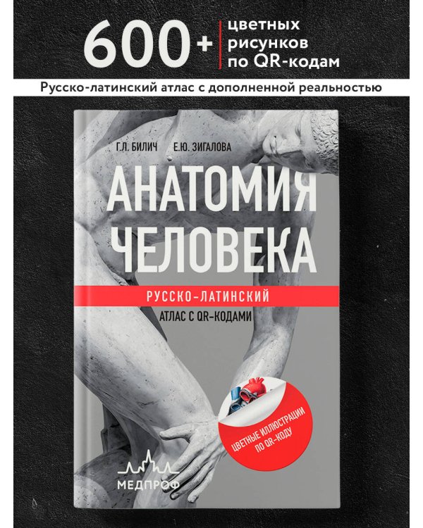 Анатомия человека: Русско-латинский атлас с QR-кодами