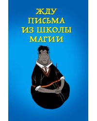 Жду письма из школы магии (блокнот в мягкой обложке линейку)