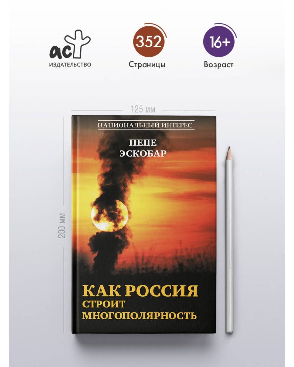 Дополнительное изображение книги «Как Россия строит многополярность»