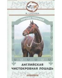 Английская чистокровная лошадь