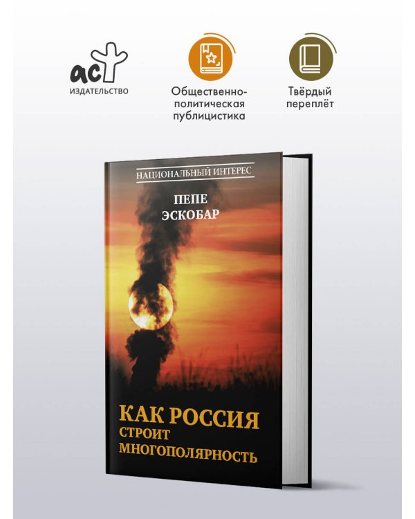 Дополнительное изображение книги «Как Россия строит многополярность»