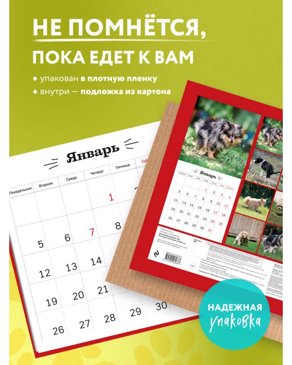 Все собаки делают это. Календарь настенный на 2026 год (300х300)
