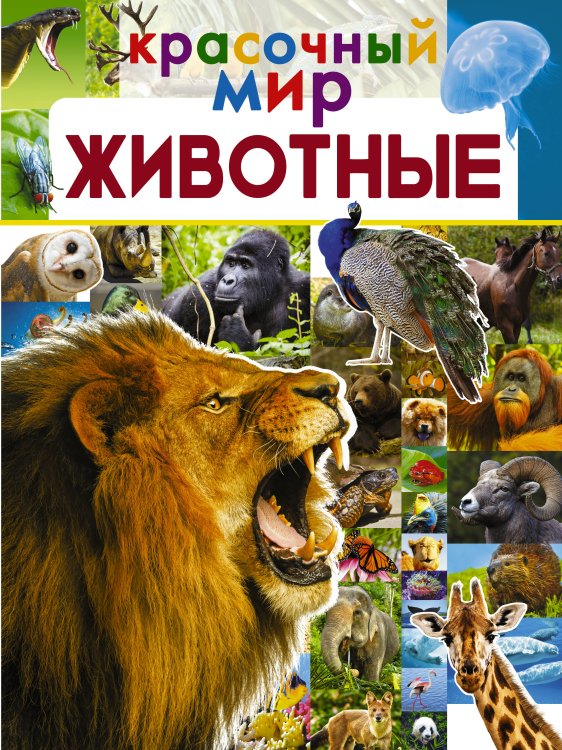 Красочный мир Животные