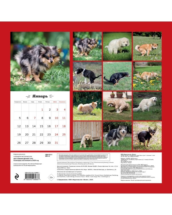 Все собаки делают это. Календарь настенный на 2026 год (300х300)