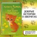 Котёнок Рыжик, или Как найти сокровище (выпуск 13)